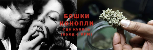 СК Аркадак