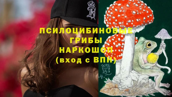 бошки Касимов